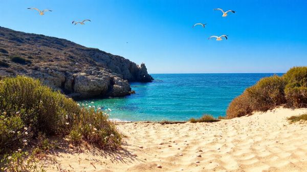 Découverte de la plage sauvage de L'Estagnol à Bormes