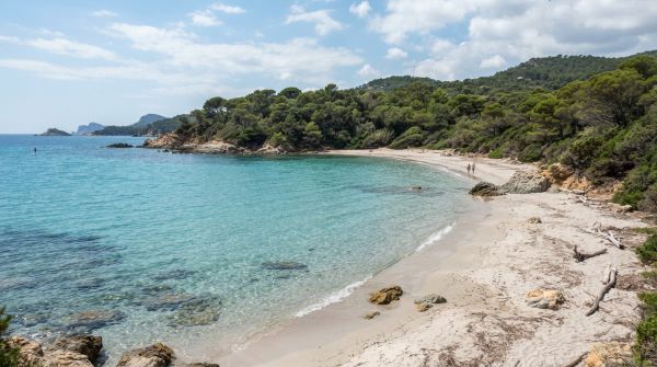 Découverte de la plage sauvage de L'Estagnol à Bormes